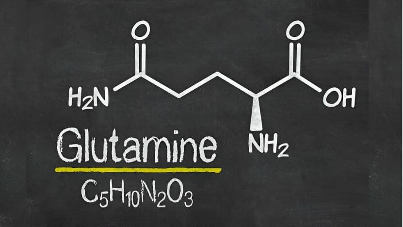 Glutamin nedir