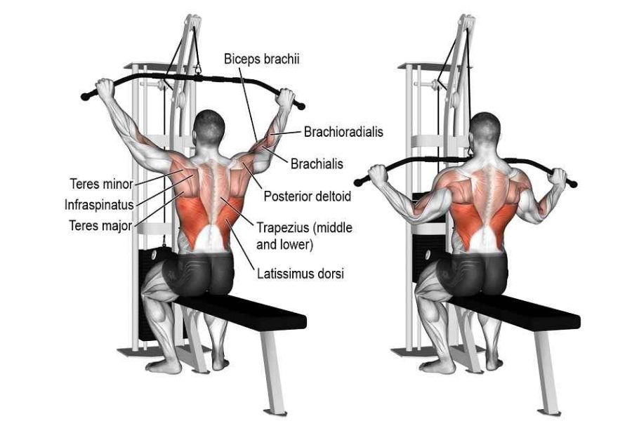 5. Lat Pulldown: Başlangıç Seviyesi için İdeal