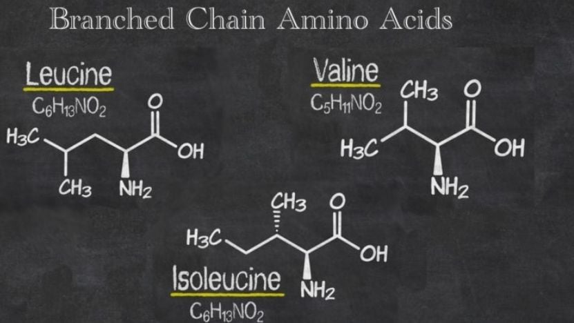 BCAA'nın Üç Temel Amino Asidi: Leucine, Isoleucine ve Valine