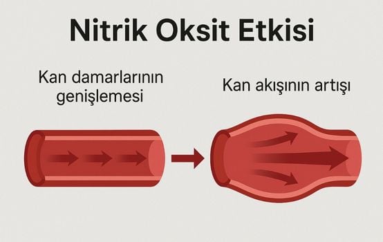 Nitrik Oksit Üretimi