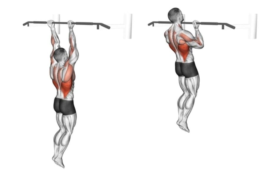1. Pull-Up ve Chin-Up: Sırtın Temel Taşı