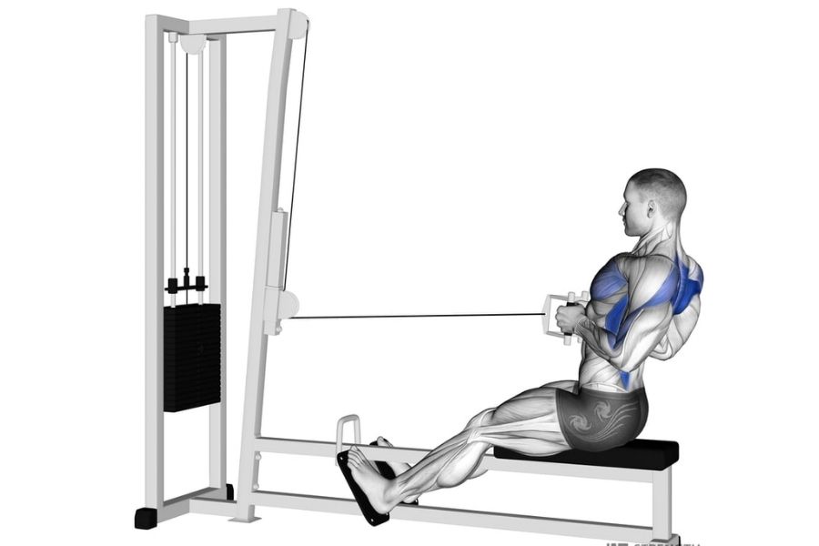 3. Seated Cable Row: Duruşu Düzelten İzolasyon Hareketi