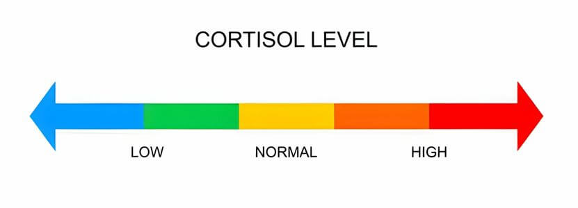 3. Stresi ve kortizol düzeylerini en aza indirin