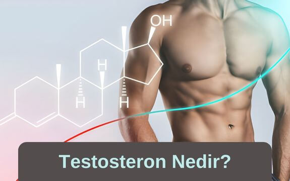 Testosteron Nedir?