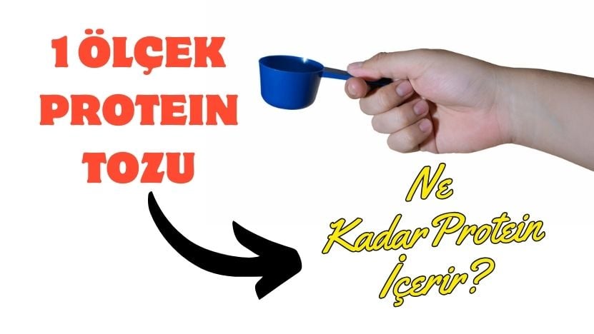 1 Ölçek Protein Tozu Kaç Gram Protein İçerir?