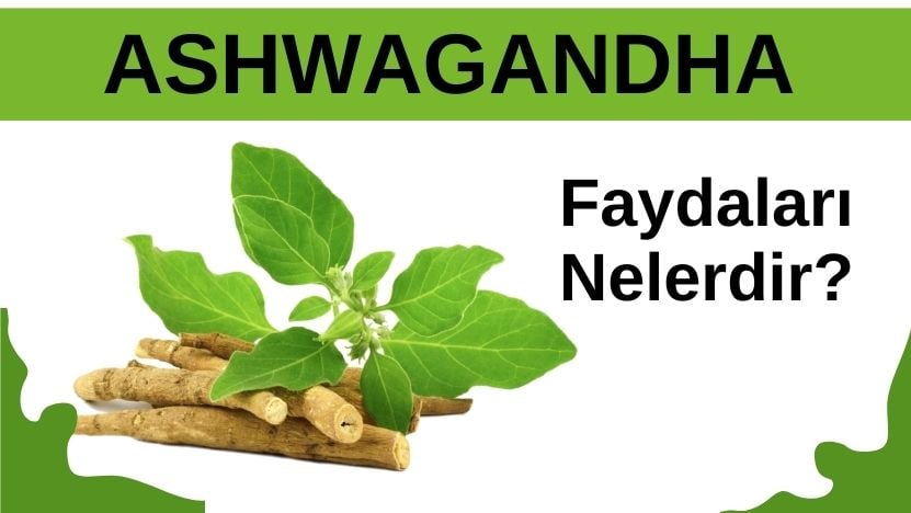 Araştırmalara Göre Ashwagandha' nın Sağlık Faydaları
