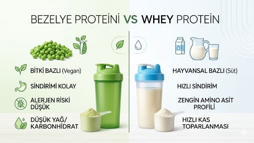 Bezelye Proteini vs Whey Protein: Hangisi Daha İyi?