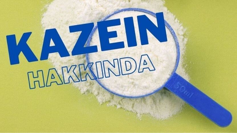 Kazein Hakkında Bilinmesi Gerekenler