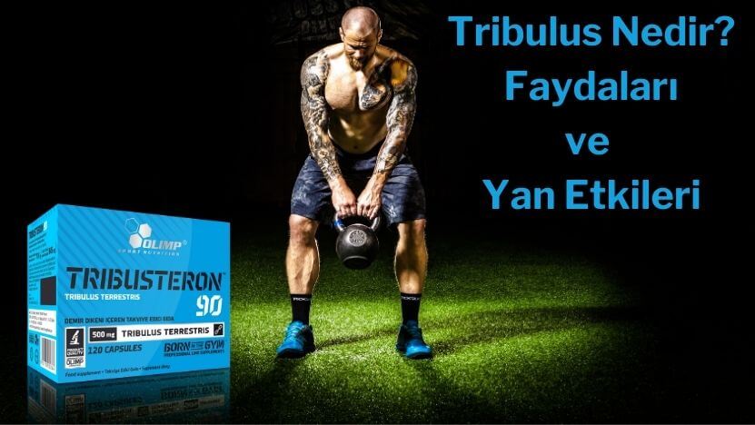 Tribulus Terrestris Nedir? Faydaları ve Yan etkileri