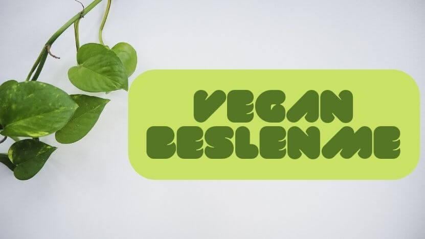 Veganlar ve Vejetaryenler İçin En İyi 18 Protein Kaynağı