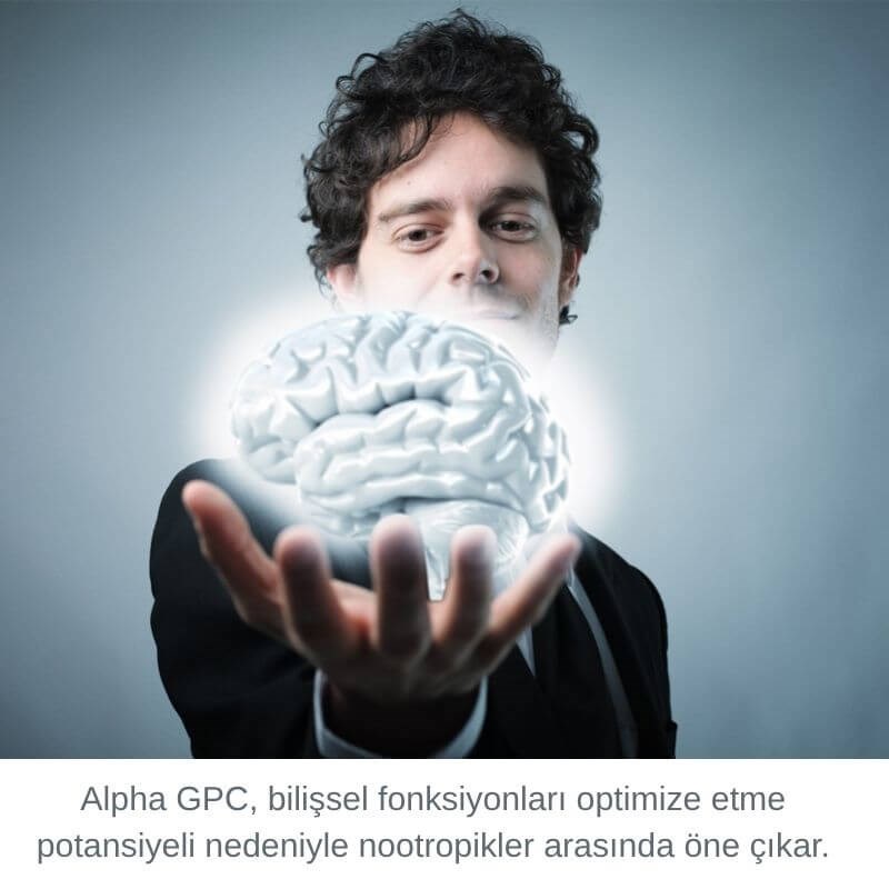 Alpha GPC, bilişsel fonksiyonları optimize etme potansiyeli nedeniyle nootropikler arasında öne çıkar.