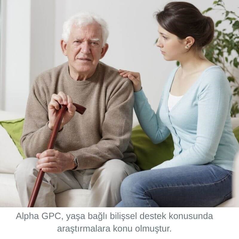 Alpha GPC, yaşa bağlı bilişsel destek konusunda araştırmalara konu olmuştur.