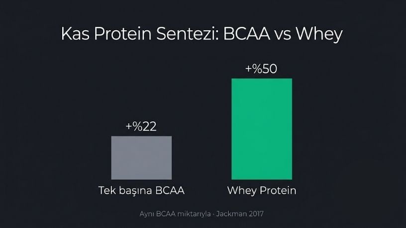 Kas protein sentezi: tek başına BCAA +%22, whey protein +%50 — aynı BCAA miktarıyla, Jackman 2017