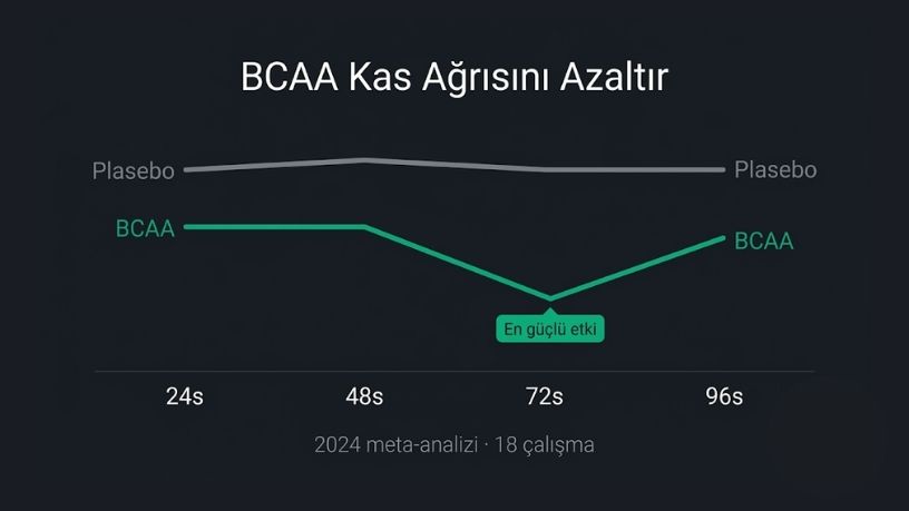 BCAA kas ağrısını azaltır: plasebo grubuna göre BCAA grubunda ağrı daha düşük, en güçlü etki 72. saatte — 2024 meta-analizi