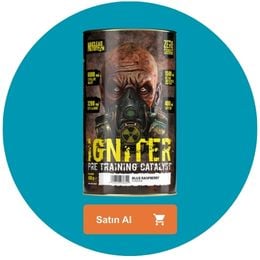 13. Nuclear Nutrition Igniter