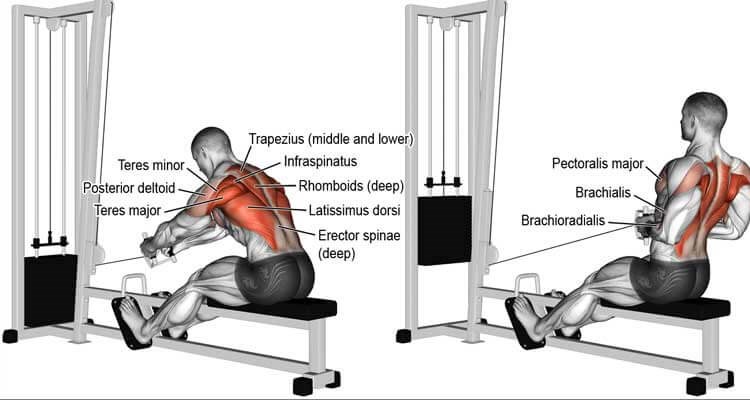 Xtr Fitness Rowing mideye Çekiş aparatı  nasıl kullanılır