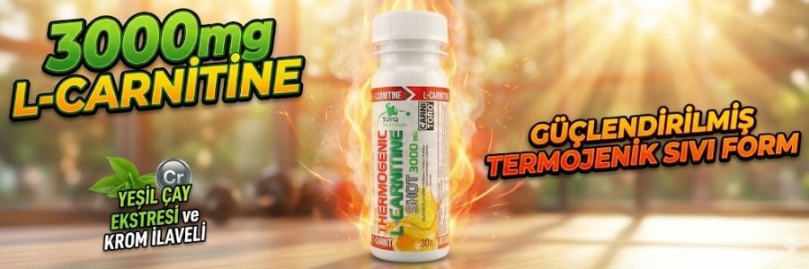 Torq Thermogenic L-Carnitine 3000 Shot