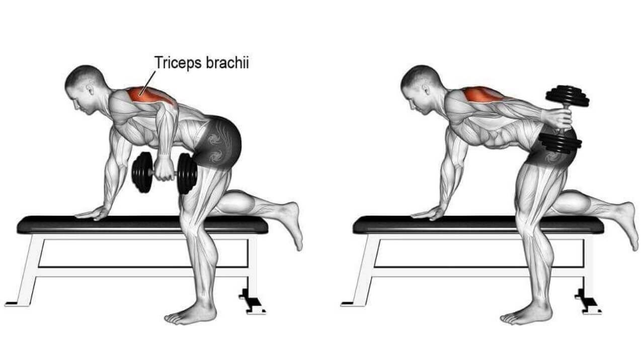 Triceps Kick Back