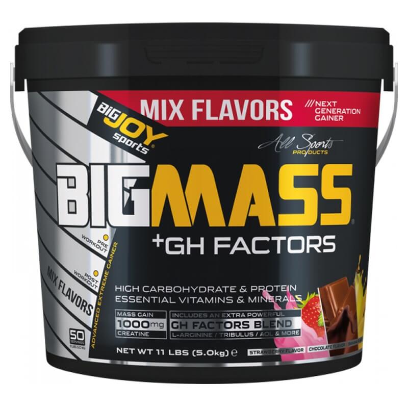 Bigjoy Bigmass Gh Factors 5000 Gr Mix