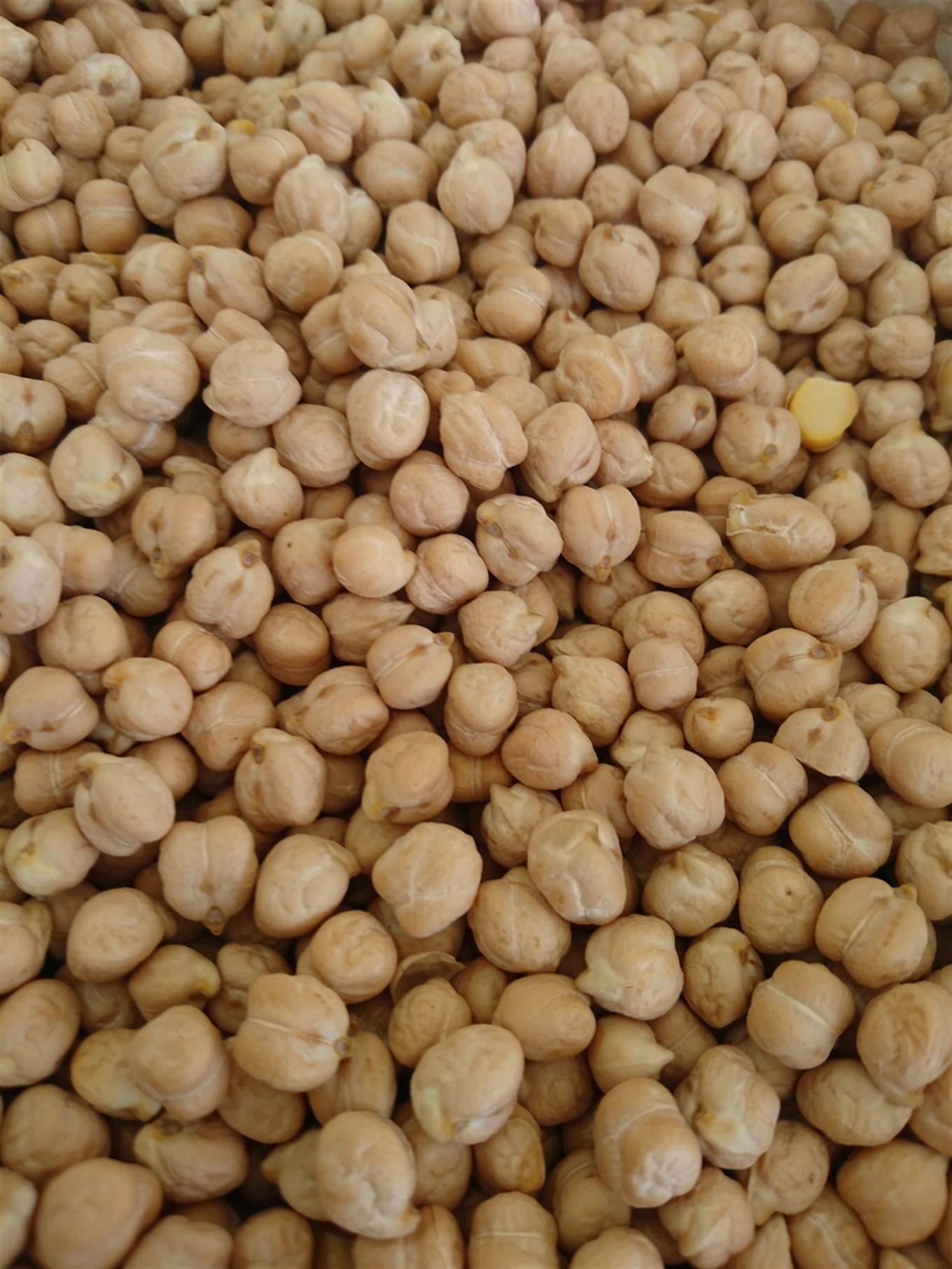 Köy Nohutu 1 kg