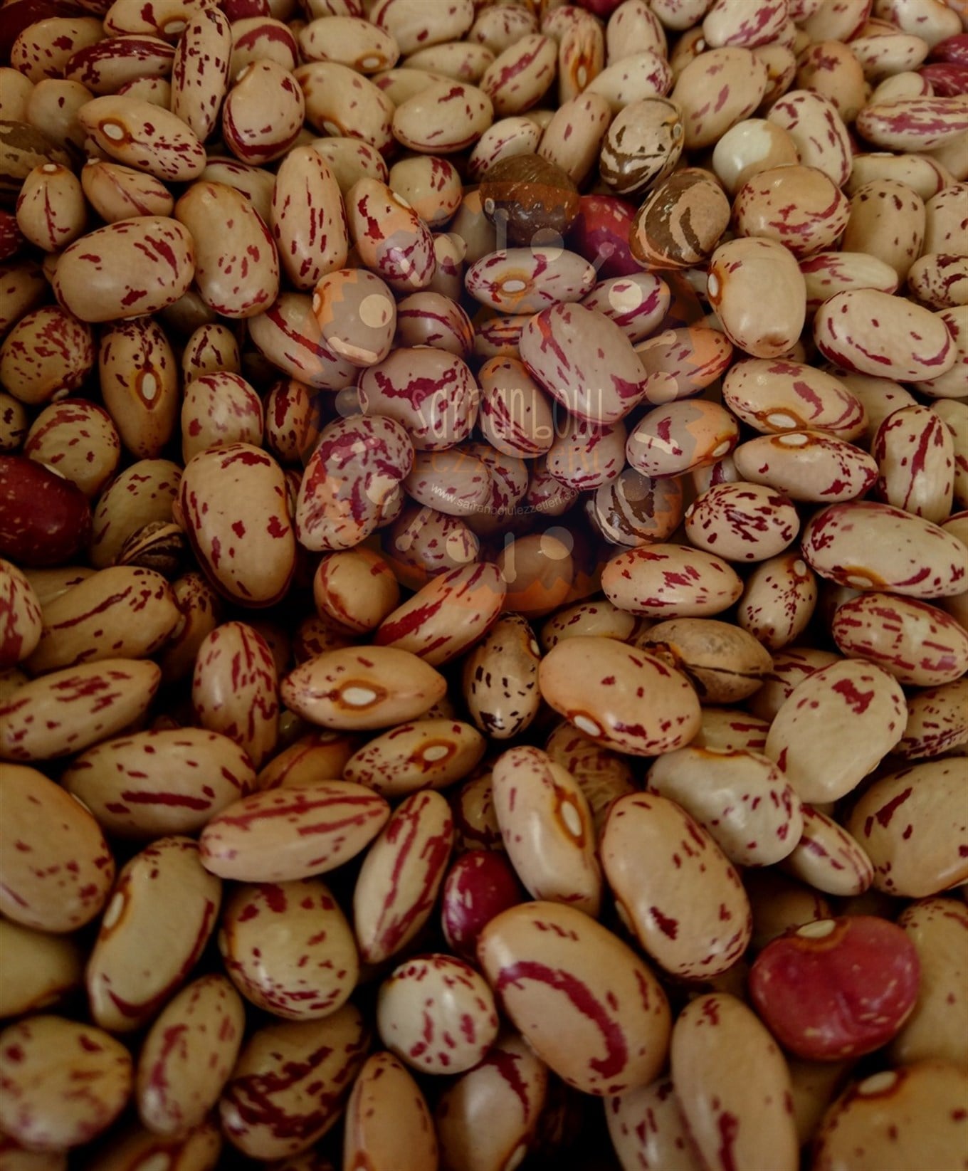 Barbunya (Çama Çıkan Barbunya) 1 kg