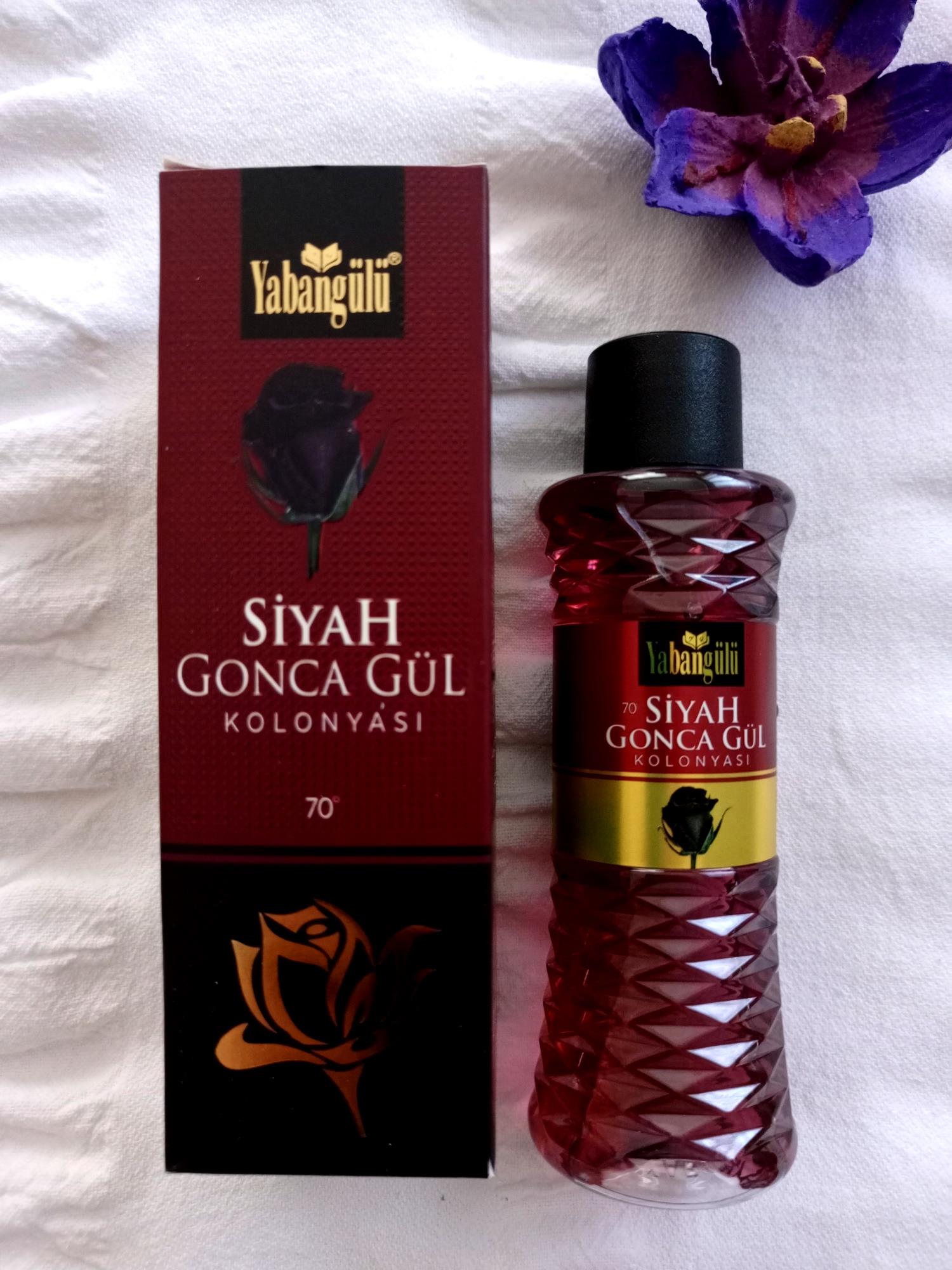 Yaban Gülü 'Siyah Gonca Gül Kolonyası' 