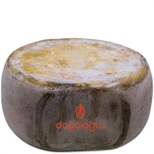 Dağcıoğlu Kars Eski Kaşar Peyniri ST5000