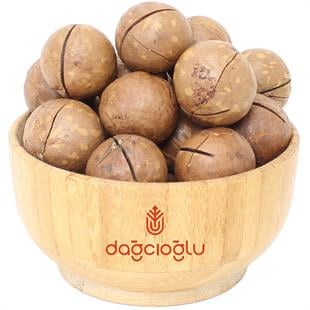 Dağcıoğlu Kabuklu Makademya Fındığı