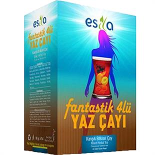 Esila Fantastik Dörtlü Yaz Çayı 90 Gr