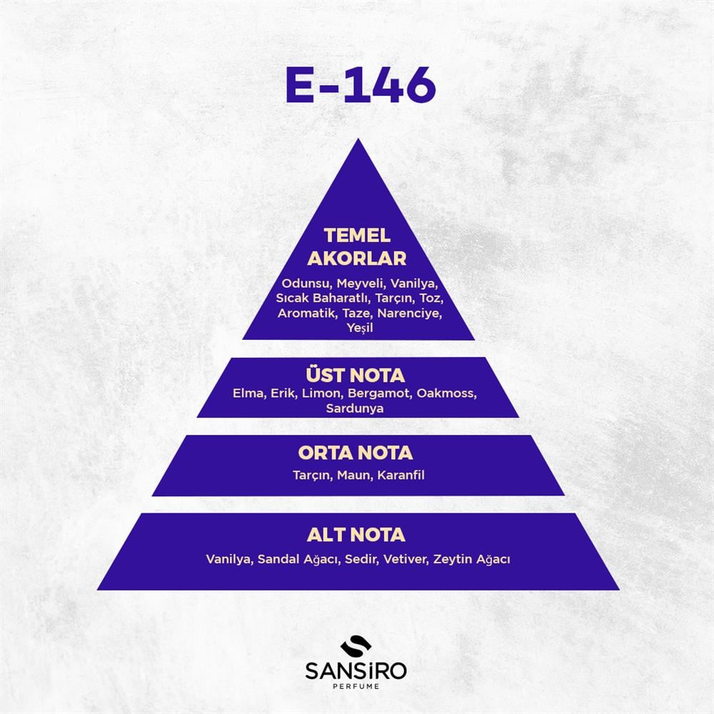 E-146 Erkek Parfüm 50ml Edp