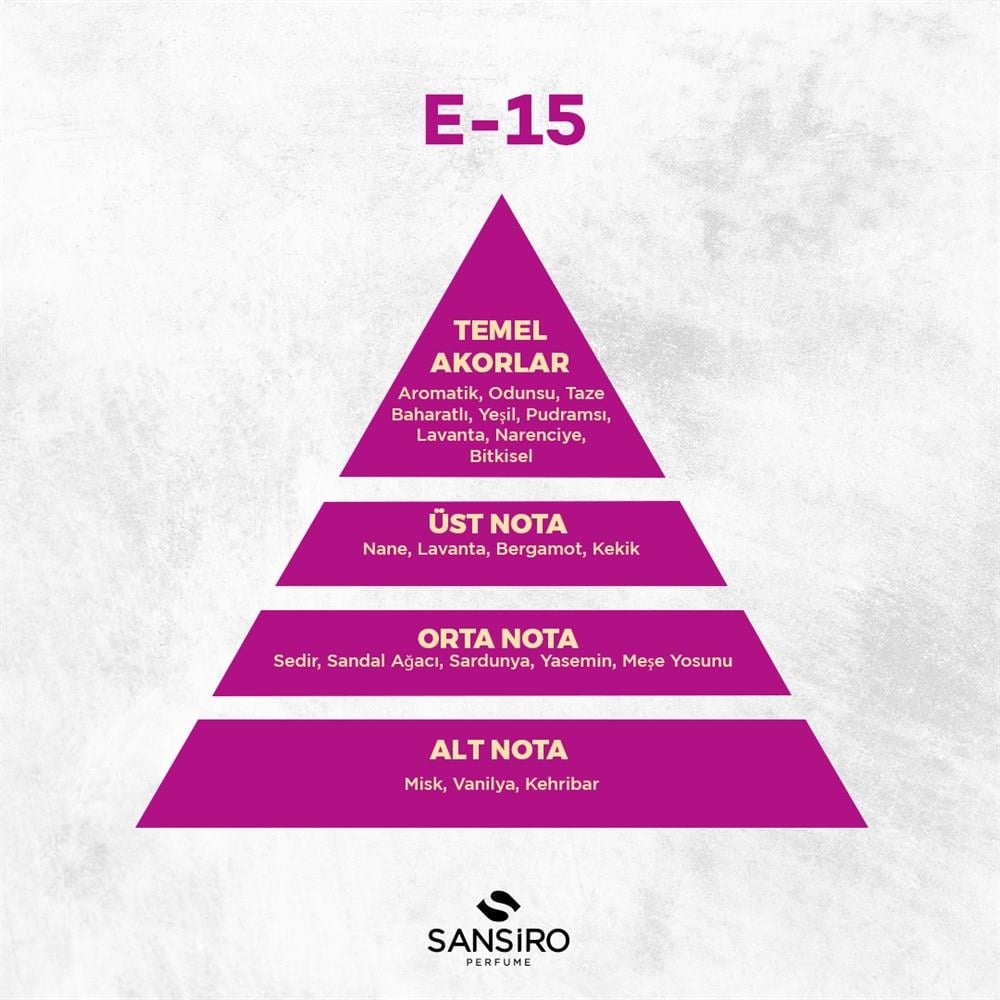 E-15 Erkek Parfüm 100ml Edp