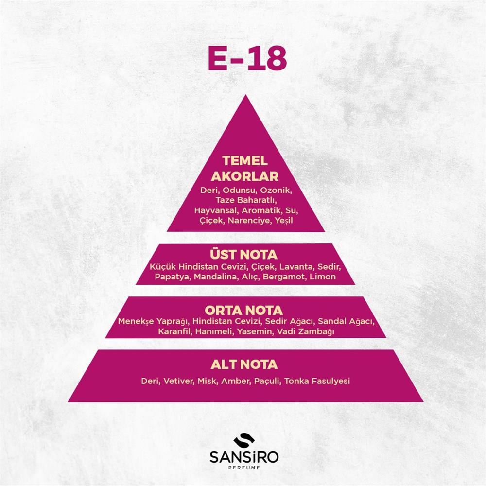 E-18 Erkek Parfüm 100ml Edp