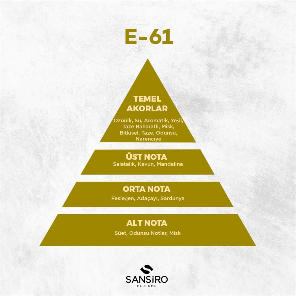 E-61 Erkek Parfüm 100ml Edp
