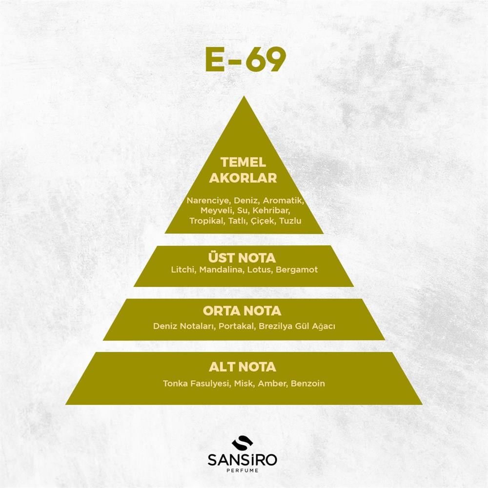 E-69 Erkek Parfüm 100ml Edp