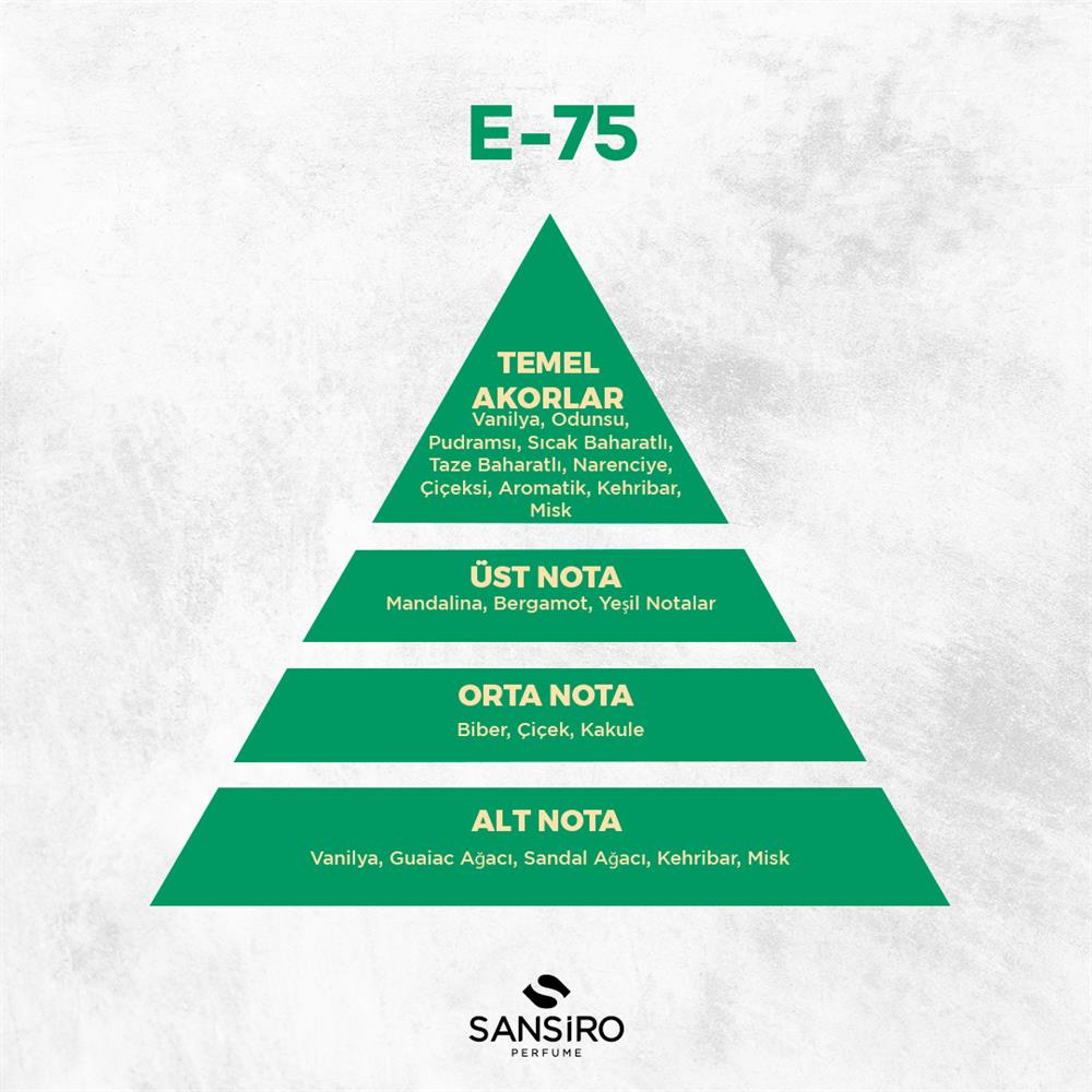 E-75 Erkek Parfüm 50ml Edp