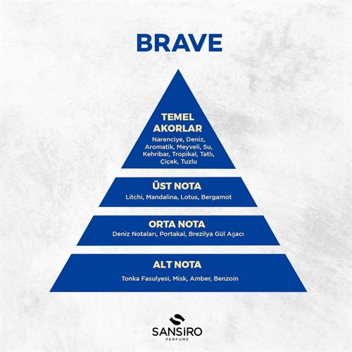 Brave Erkek Parfüm 100ml Edp