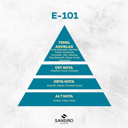 E-101 Erkek Parfüm 50ml Edp
