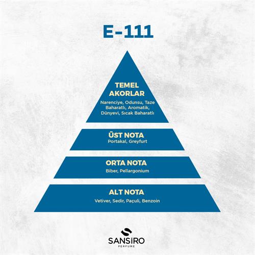 E-111 Erkek Parfüm 50ml Edp