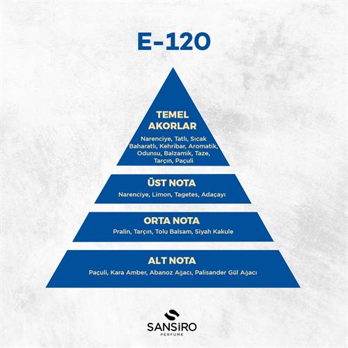 E-120 Erkek Parfüm 50ml Edp