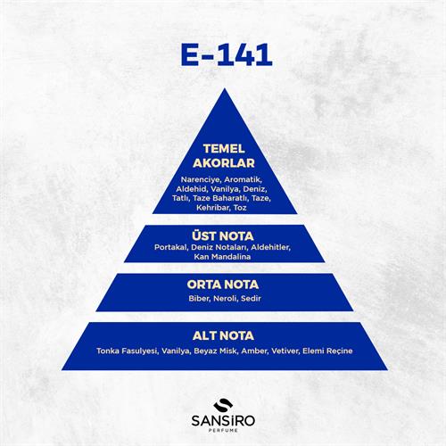 E-141 Erkek Parfüm 50ml Edp