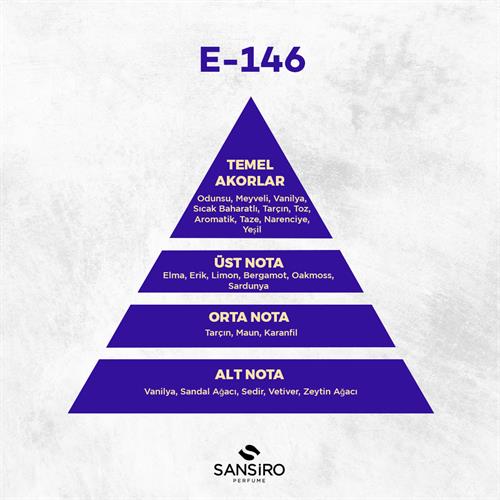 E-146 Erkek Parfüm 50ml Edp