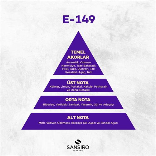 E-149 Erkek Parfüm 50ml Edp