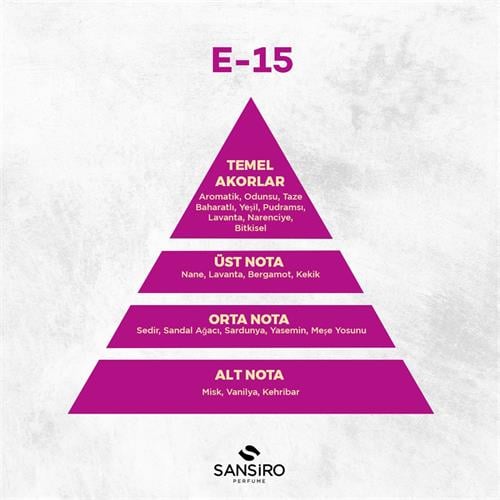 E-15 Erkek Parfüm 100ml Edp