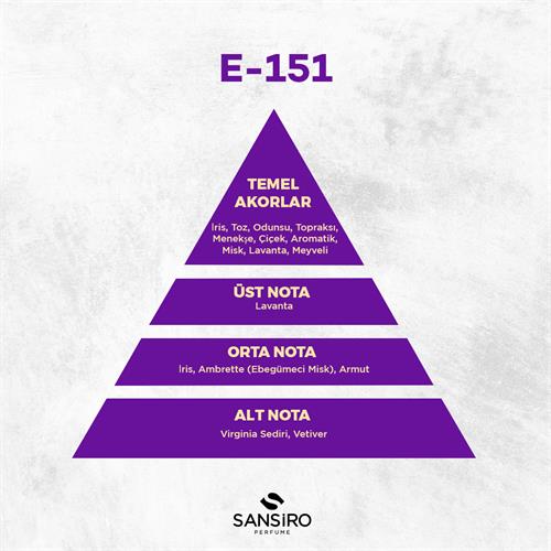 E-151 Erkek Parfüm 50ml Edp