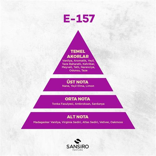 E-157 Erkek Parfüm 100ml Edp
