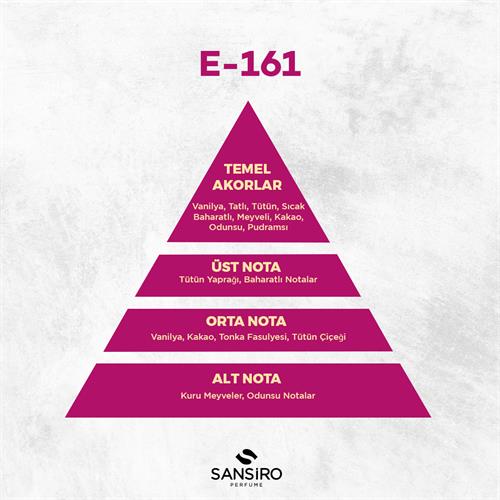 E-161 Erkek Parfüm 50ml Edp