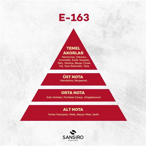 E-163 Erkek Parfüm 50ml Edp