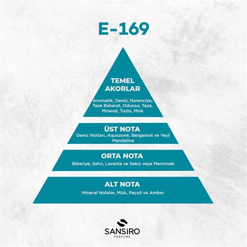 E-169 Erkek Parfüm 50ml Edp