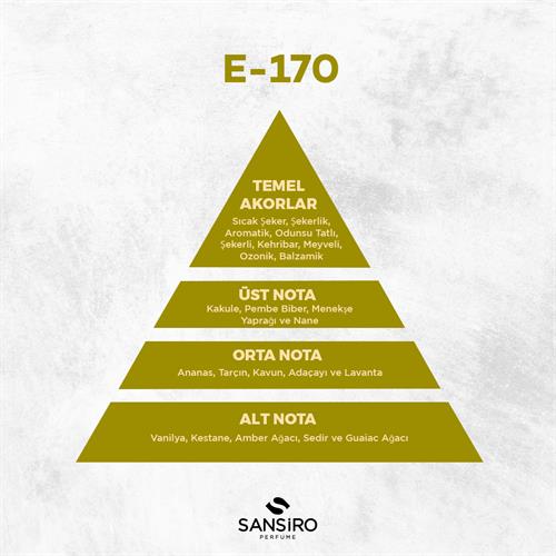 E-170 Erkek Parfüm 50ml Edp
