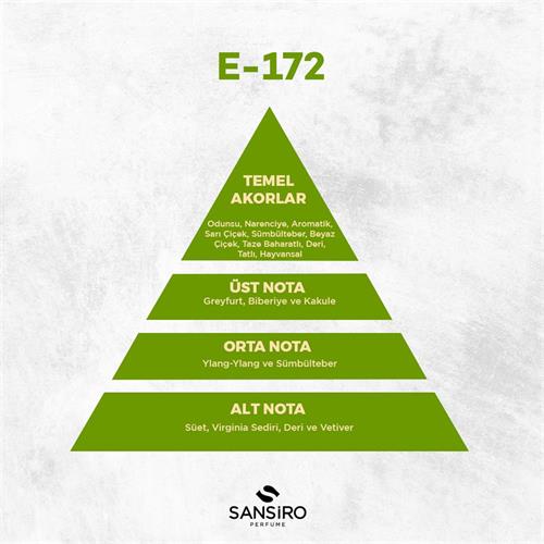 E-172 Erkek Parfüm 50ml Edp